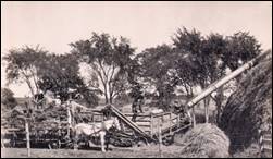 A horse harvesting a hay wagon

Description automatically generated with medium confidence