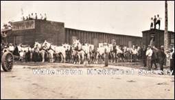 A group of horses in a row

Description automatically generated